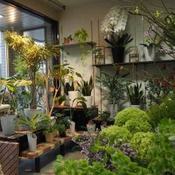 滋賀県大津市の花屋　花市商店