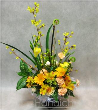 Yellow・・・｜「花市」　（滋賀県大津市の花キューピット加盟店 花屋）のブログ