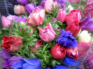 今日、入荷の花達(2/8)・・・｜「花市」　（滋賀県大津市の花キューピット加盟店 花屋）のブログ