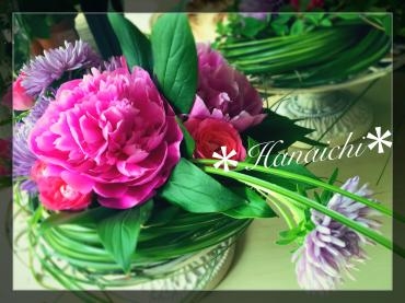 もう夏や〜・・・｜「花市」　（滋賀県大津市の花キューピット加盟店 花屋）のブログ