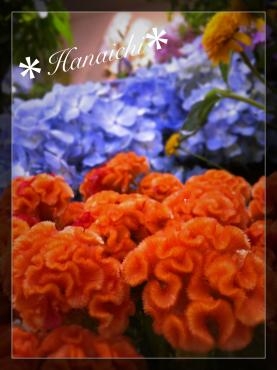 夏を通り越して・・・｜「花市」　（滋賀県大津市の花キューピット加盟店 花屋）のブログ