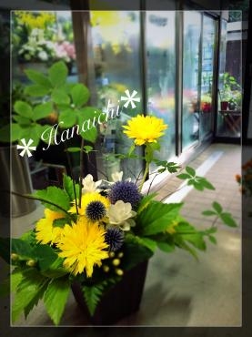 レモネードイイネ・・・｜「花市」　（滋賀県大津市の花キューピット加盟店 花屋）のブログ