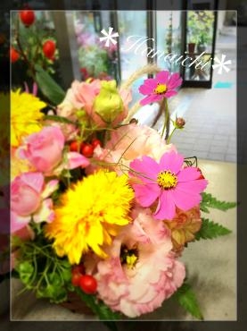 そろそろコスモス・・・｜「花市」　（滋賀県大津市の花キューピット加盟店 花屋）のブログ