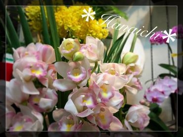 晩秋ですが・・・｜「花市」　（滋賀県大津市の花キューピット加盟店 花屋）のブログ