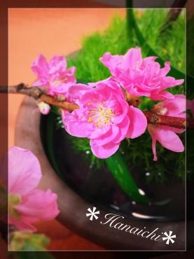 雛祭り・・・｜「花市」　（滋賀県大津市の花キューピット加盟店 花屋）のブログ