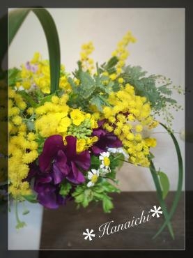 ミモザの日・・・｜「花市」　（滋賀県大津市の花キューピット加盟店 花屋）のブログ