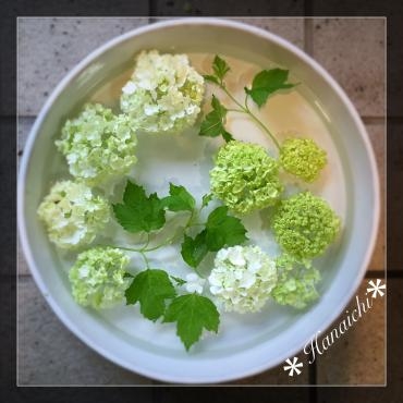 緑Green・・・｜「花市」　（滋賀県大津市の花キューピット加盟店 花屋）のブログ