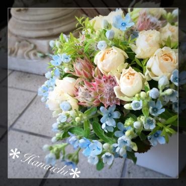 Blue爽やか・・・｜「花市」　（滋賀県大津市の花キューピット加盟店 花屋）のブログ