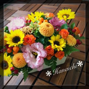 夏と秋・・・｜「花市」　（滋賀県大津市の花キューピット加盟店 花屋）のブログ