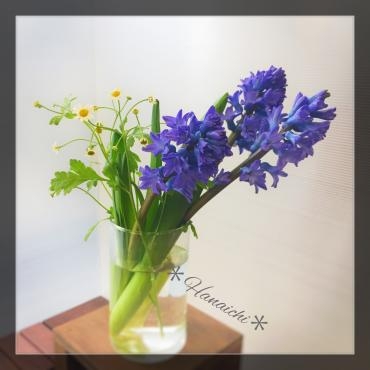 春の香りを・・・｜「花市」　（滋賀県大津市の花キューピット加盟店 花屋）のブログ