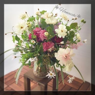 春の日差しに誘われて・・・｜「花市」　（滋賀県大津市の花キューピット加盟店 花屋）のブログ
