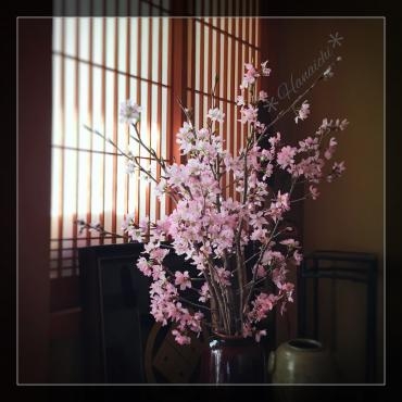SAKURA・・・｜「花市」　（滋賀県大津市の花キューピット加盟店 花屋）のブログ