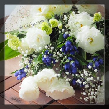 夏の花！？・・・｜「花市」　（滋賀県大津市の花キューピット加盟店 花屋）のブログ