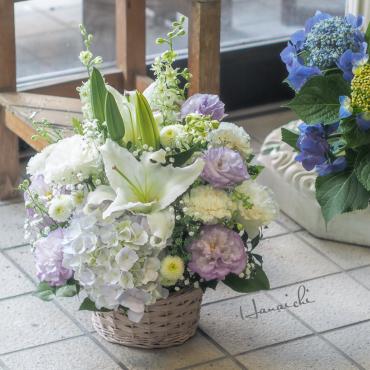 紫陽花・・・｜「花市」　（滋賀県大津市の花キューピット加盟店 花屋）のブログ