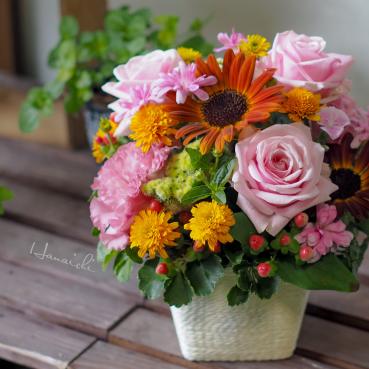 秋まだ遠し・・・｜「花市」　（滋賀県大津市の花キューピット加盟店 花屋）のブログ